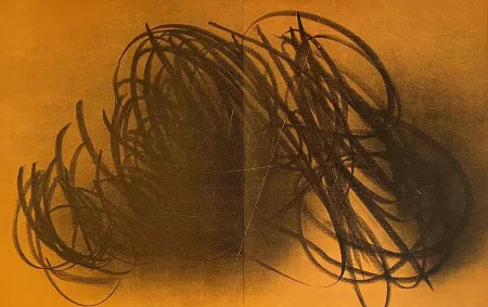 石版画 Hartung - Farandole