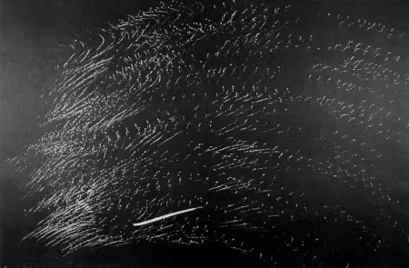 石版画 Hartung - Farandole 15