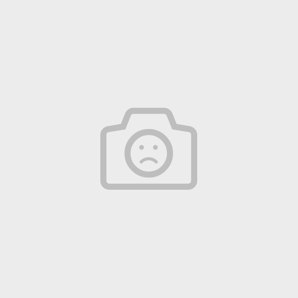 插图书 Hartung - Farandole - 15 lithographies originales