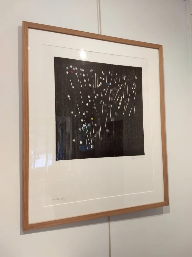 石版画 Hartung - H13