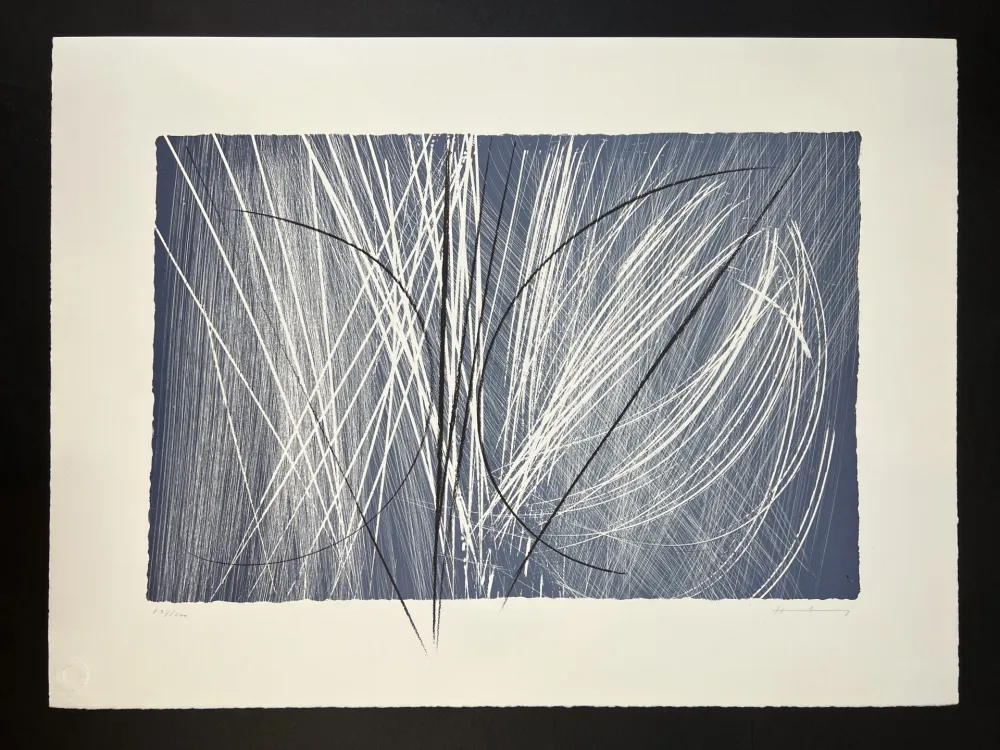 复数作品 Hartung - L 1971-2 