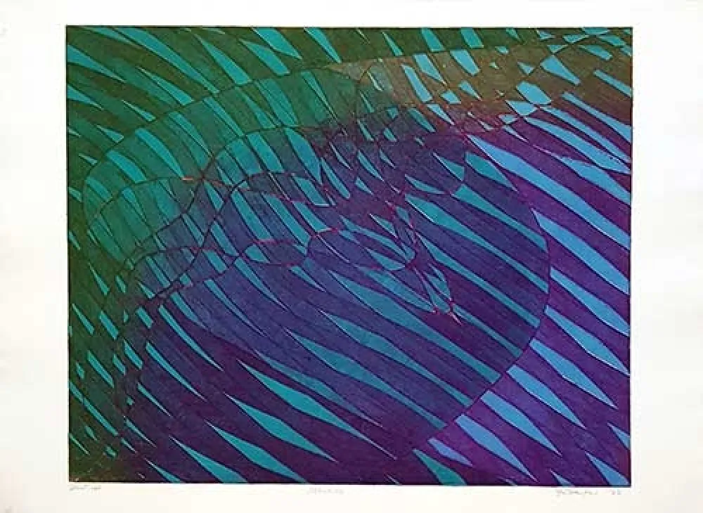 版画 Hayter - Albatros