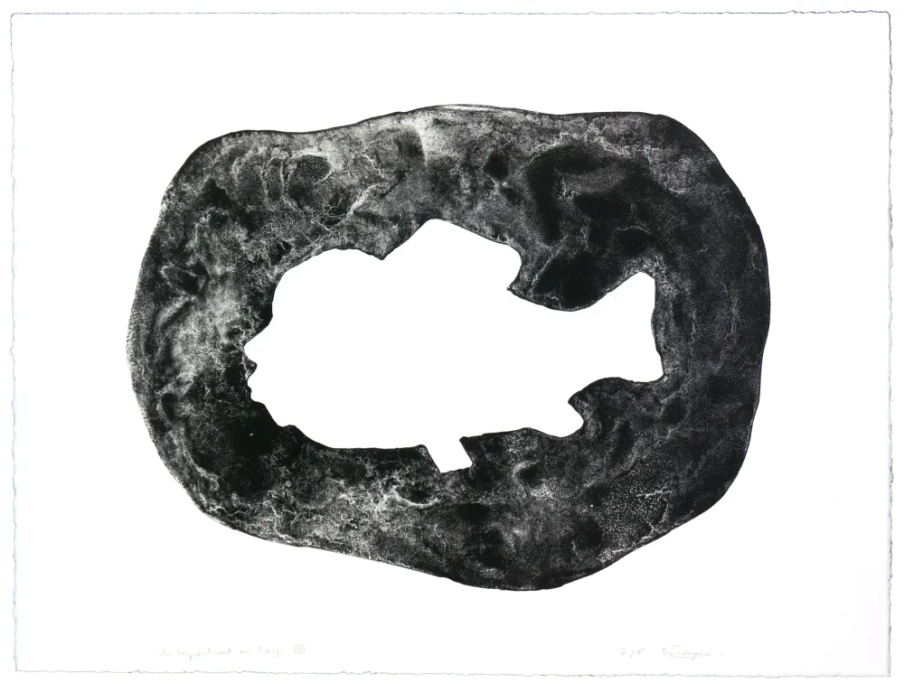 石版画 Henin - Auportrait en carpe VIII