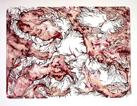 石版画 Henriquez - Paysage