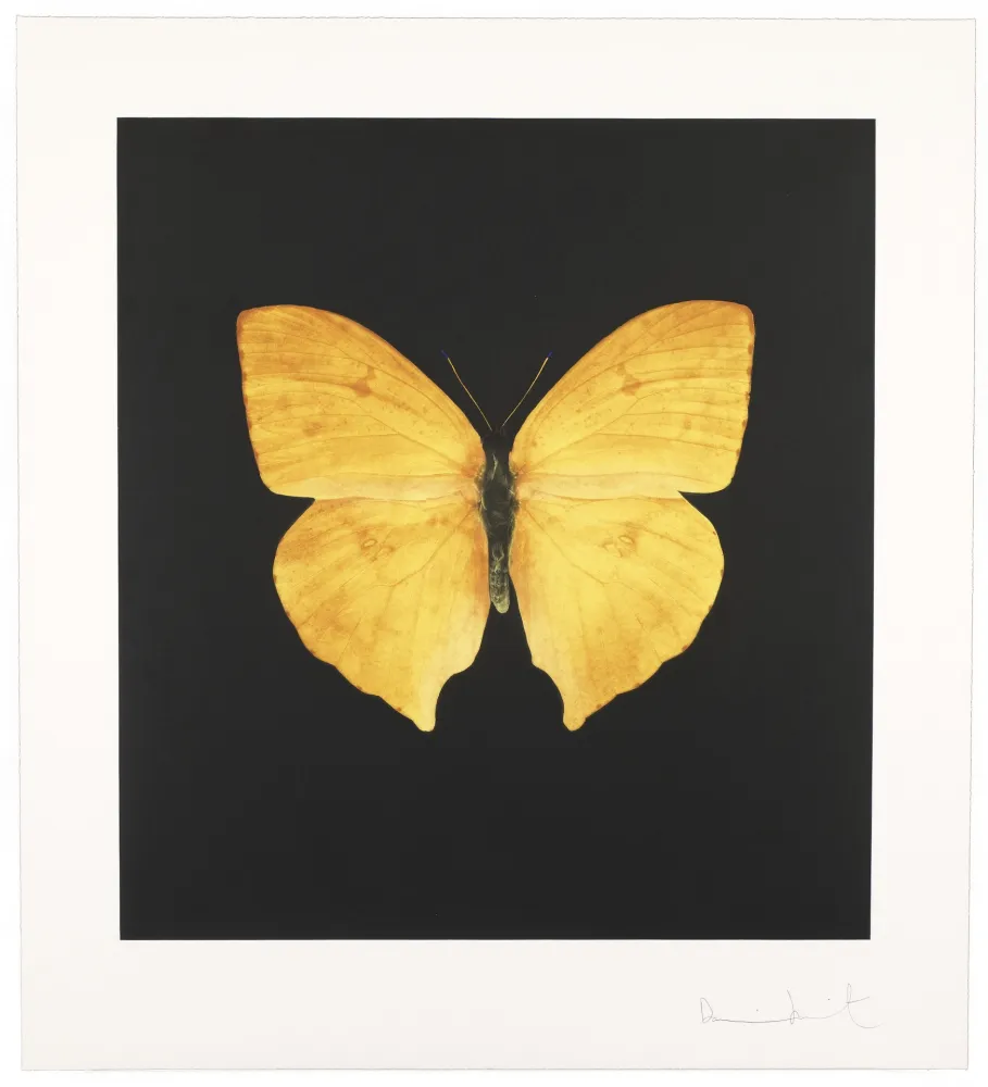 版画 Hirst - The Souls On Jacob’s Ladder Take Their Flight I