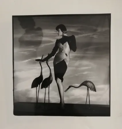 摄影 Horst  - Femme aux hérons