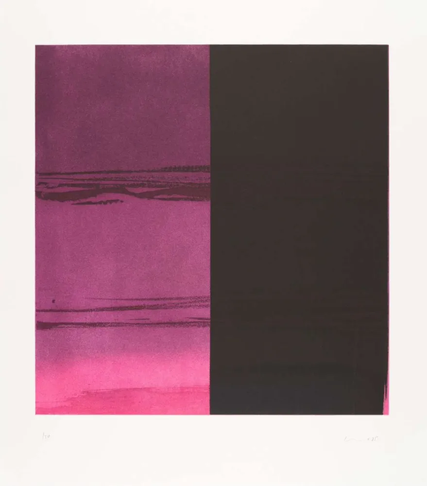 蚀刻飞尘法 Innes - Untitled 3