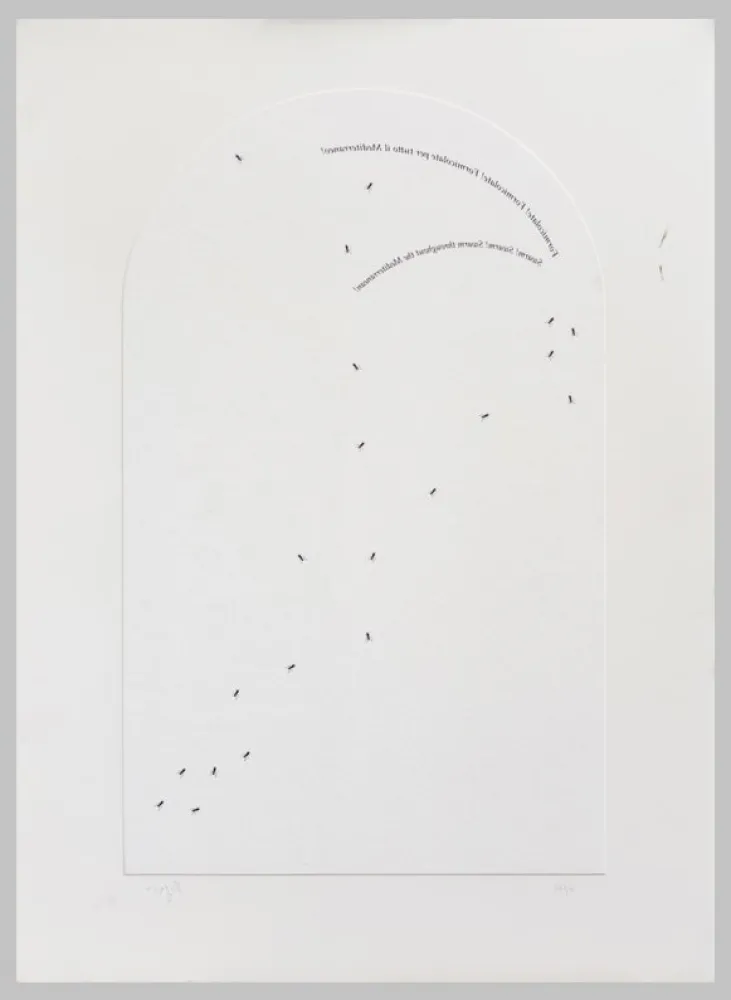 丝网印刷 Isgro - Formicolate! Formicolate! Formicolate per tutto il mediterraneo!