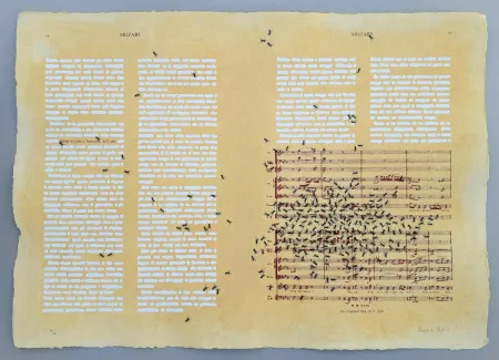 丝网印刷 Isgro - Mozart