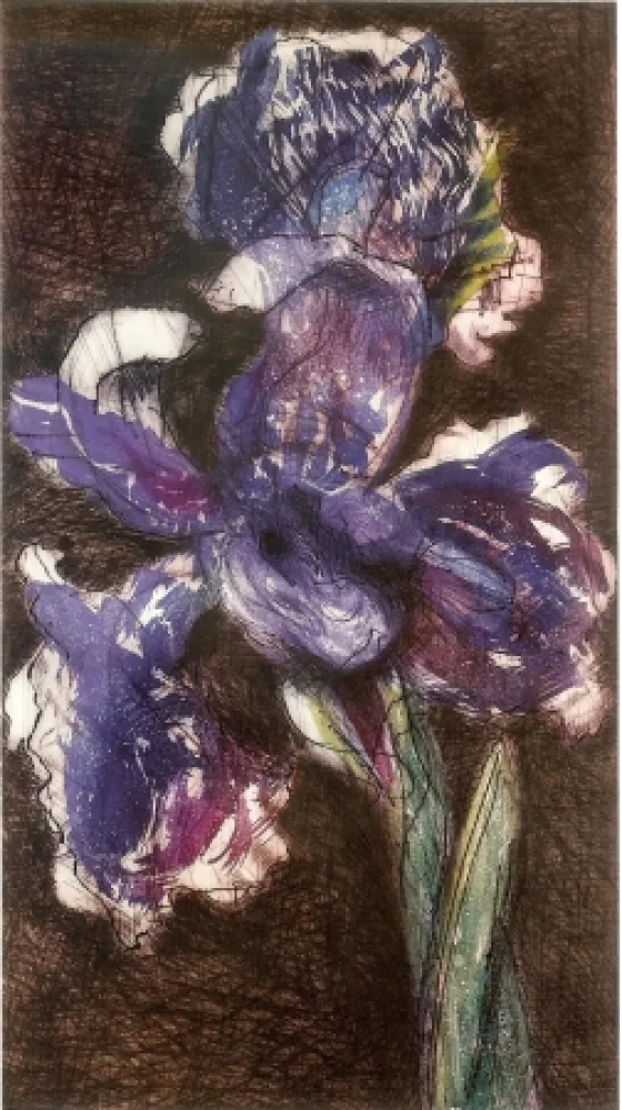石版画 Kentridge - Dutch Iris II