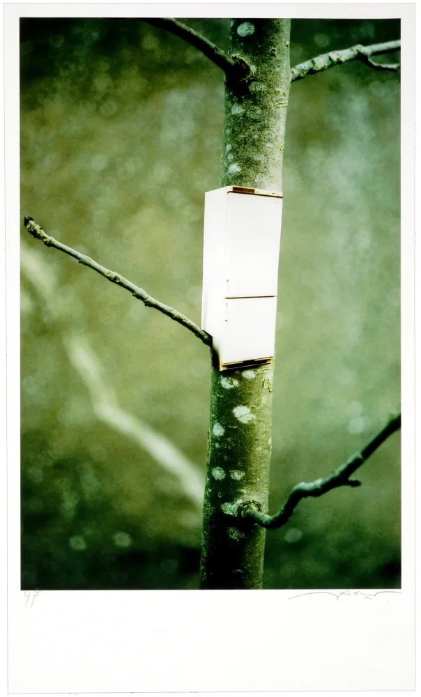 数码版画 Leick - Greffes et greffons I