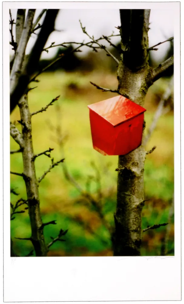 数码版画 Leick - Greffes et greffons IV