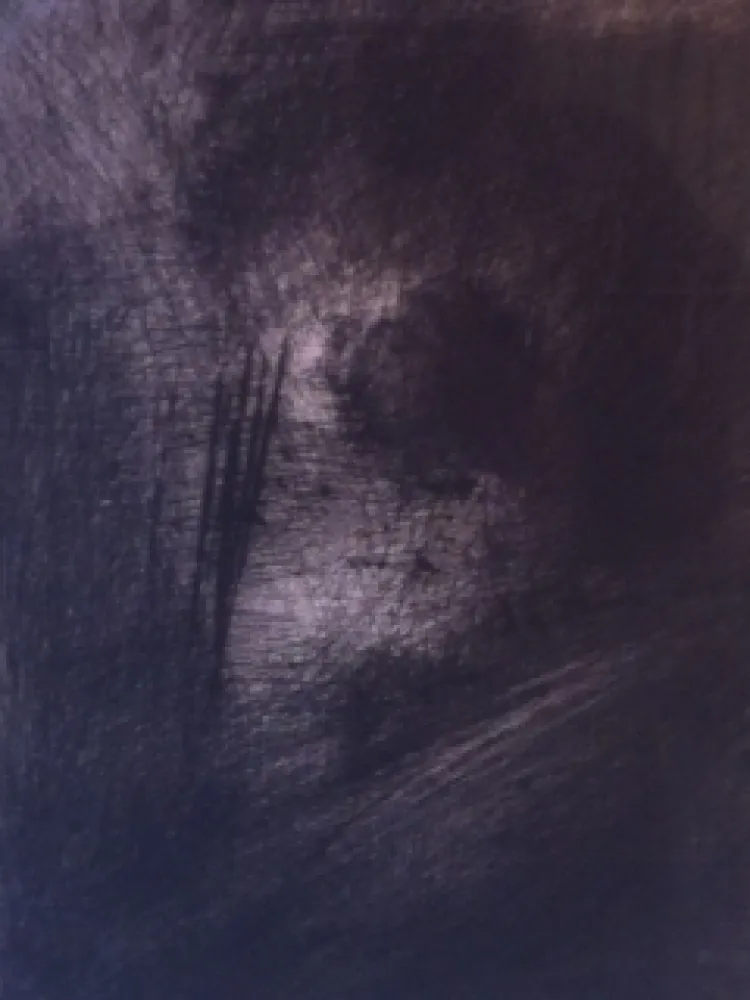 版画 Leroy  - En Hauteur sur un lit sombre en diagonale