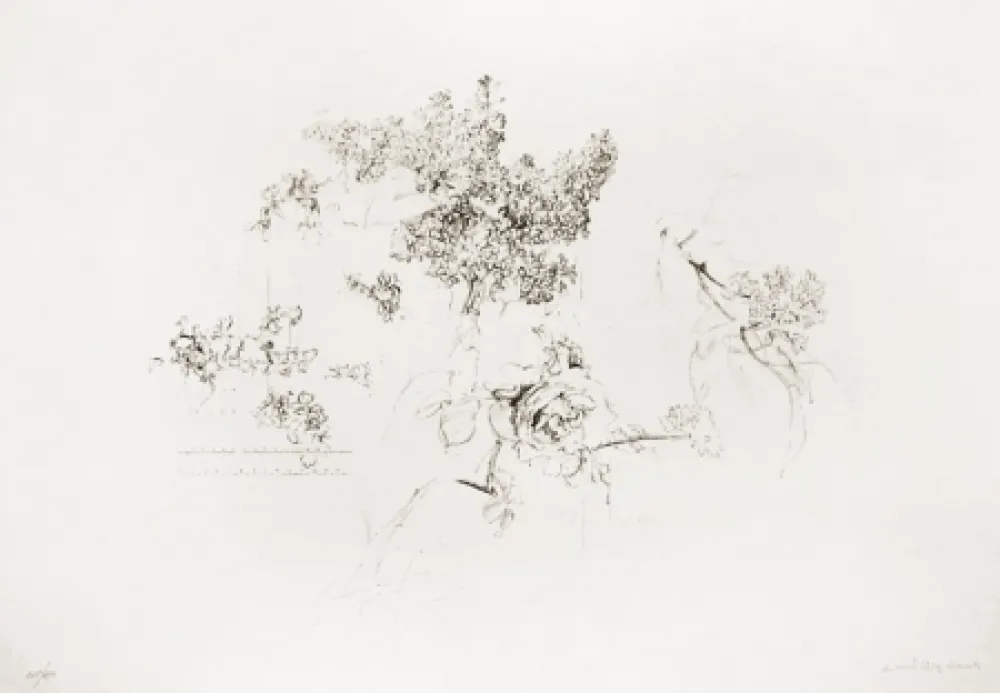 石版画 López Garcia - Olympic Centennial