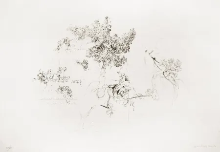 石版画 López Garcia - Olympic Centennial