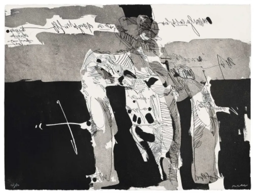 飞尘腐蚀法 Millares - Antropofauna