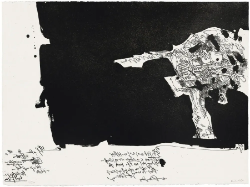 飞尘腐蚀法 Millares - Antropofauna