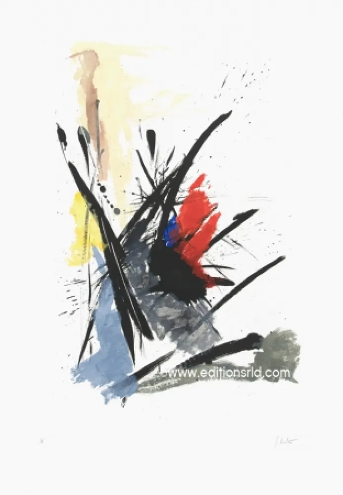 蚀刻飞尘法 Miotte - L'iroquois