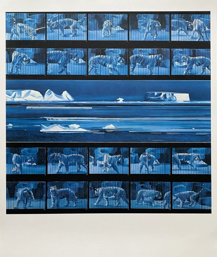 海报 Monory - Dream tiger No 4