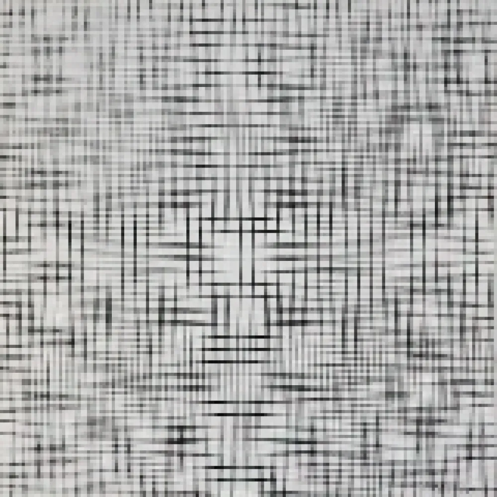 丝网印刷 Morellet - 2 doubles trames