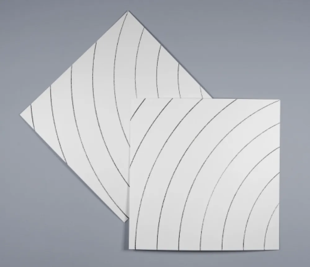 丝网印刷 Morellet - Ondes parasites 2