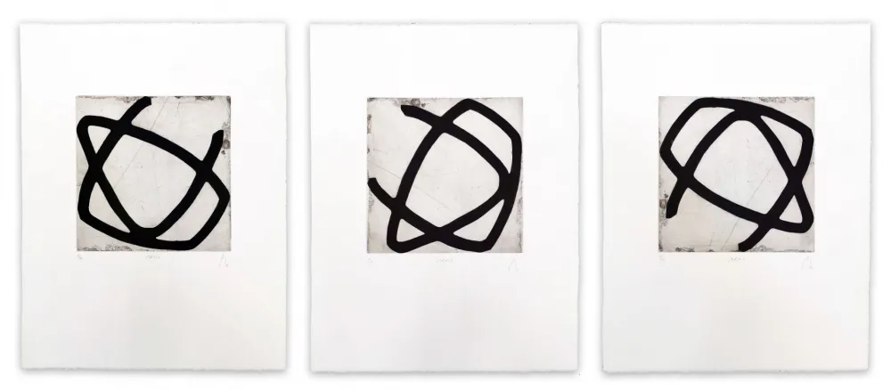 飞尘腐蚀法 Muckensturm - 13R1