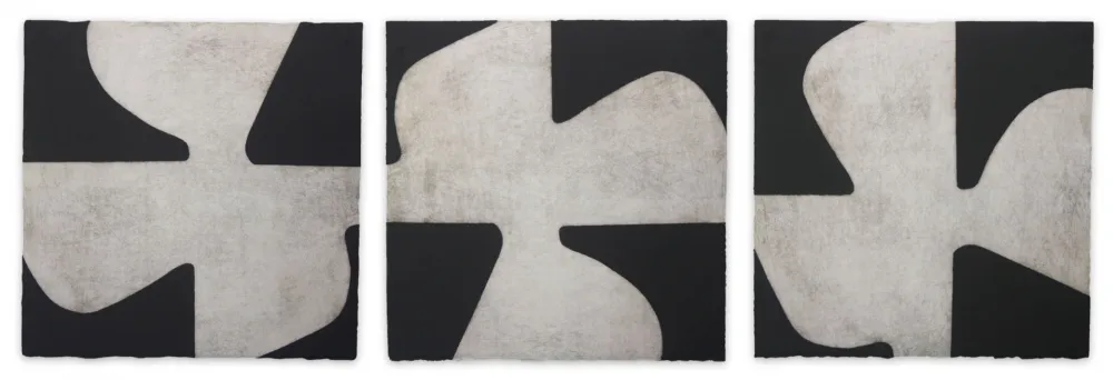 飞尘腐蚀法 Muckensturm - 183C23041