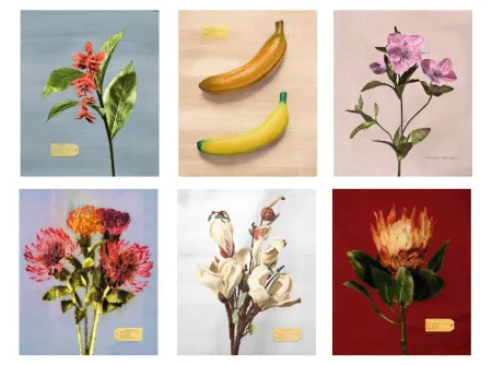 摄影 Muniz - Flora Industrialis