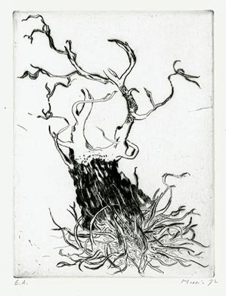 版画 Music - Motif Végétal