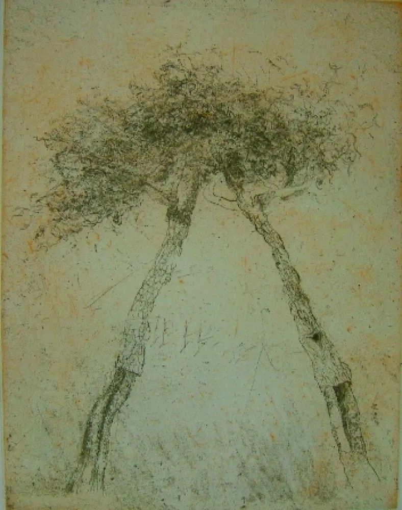 飞尘腐蚀法 Music - Motif vegetal