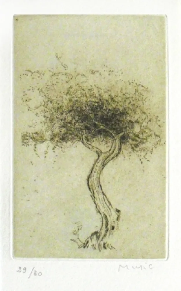 插图书 Music - Prières