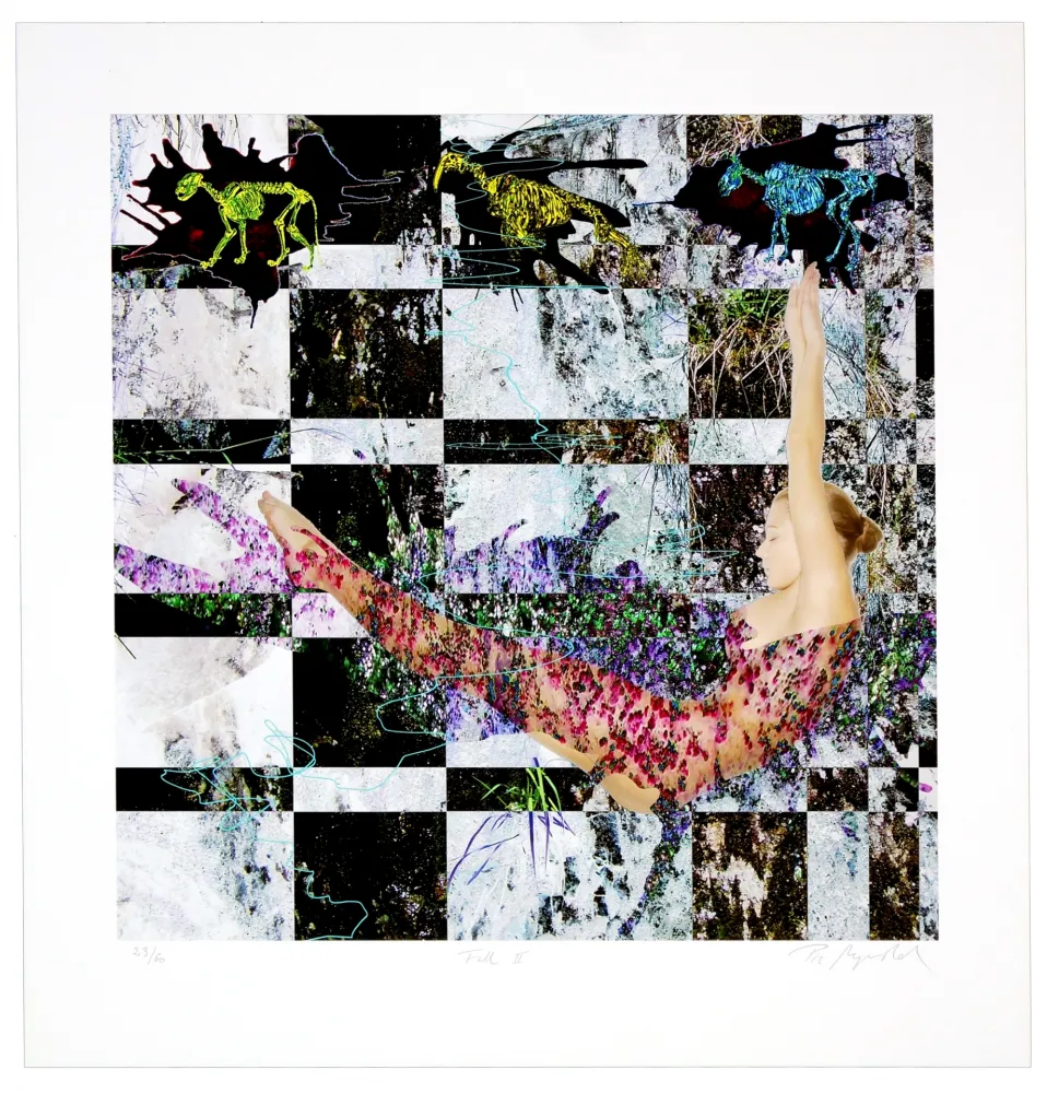 数码版画 Myrvold - Fall II