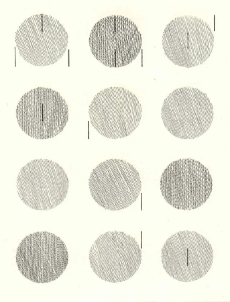 插图书 Nangeroni - Sei poesie per un romanzo