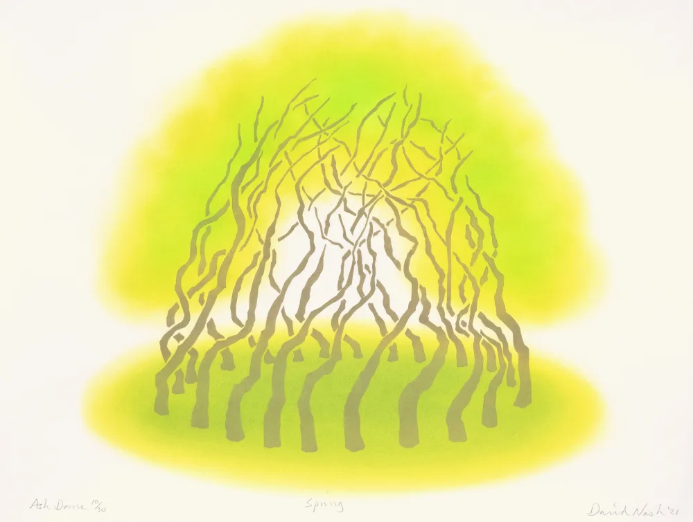 镂版印刷 Nash - Ash Dome, Spring