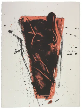 石版画 Nupen - Séance II