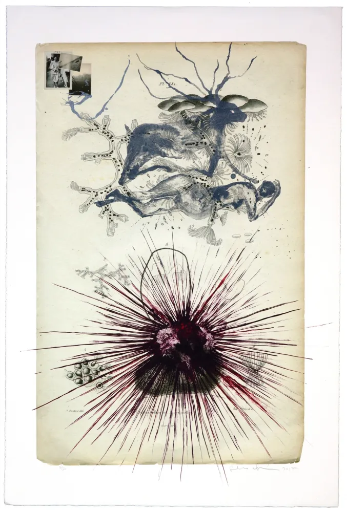 石版画 Olguin - Sans titre