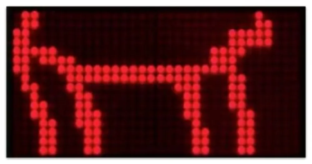 复数作品 Opie - Walk