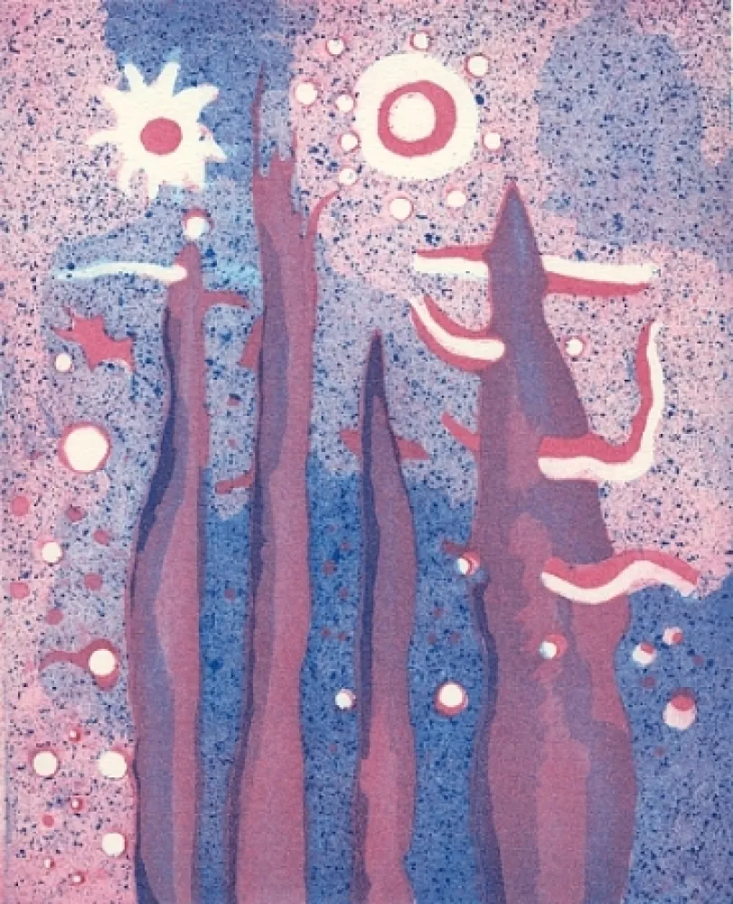 插图书 Paladino - Piano-sequenza