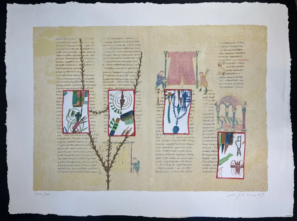 复数作品 Paladino - RABANUS MAURUS – De Universo 5