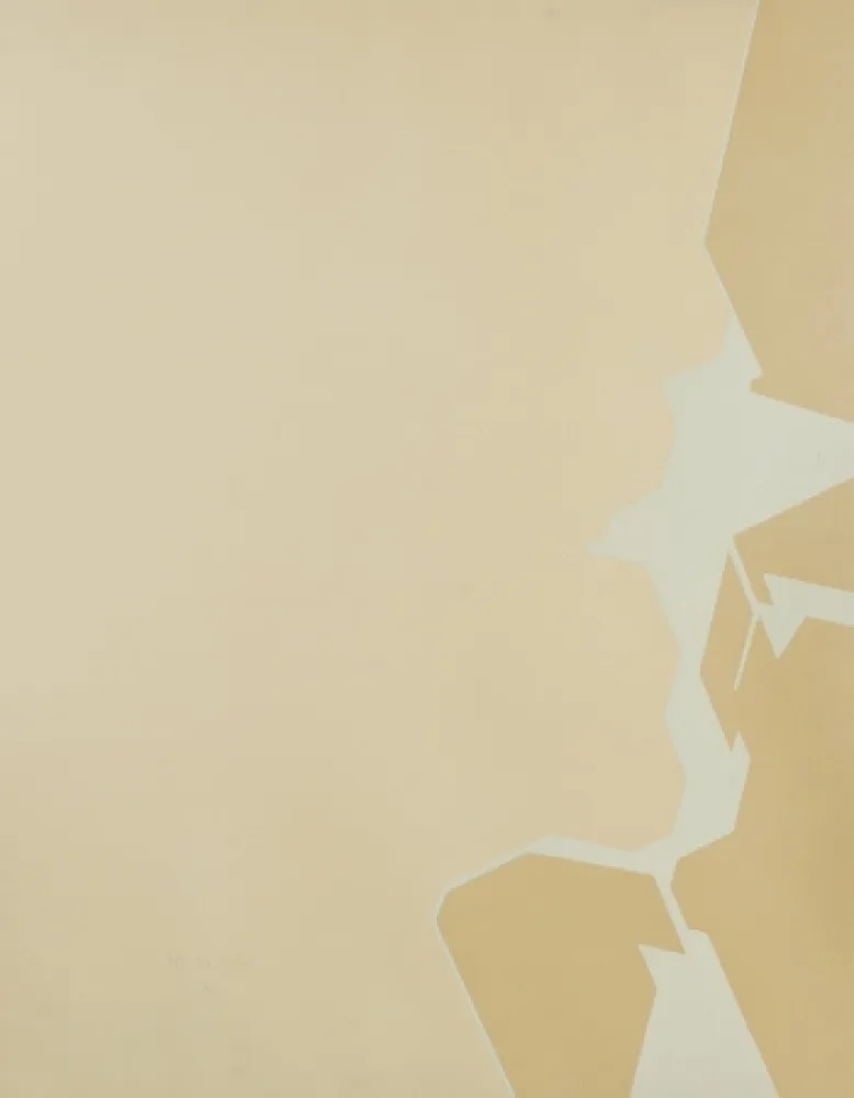 飞尘腐蚀法 Palazuelo - Remontée Latérale I