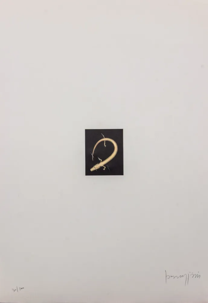 石版画 Parmiggiani - SENZA TITOLO