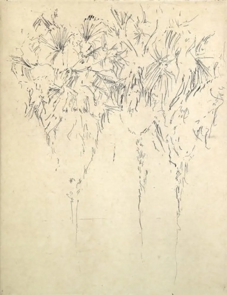 版画 Paul P - Tres palmeres