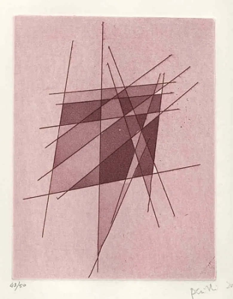 插图书 Perilli - Sylvatica