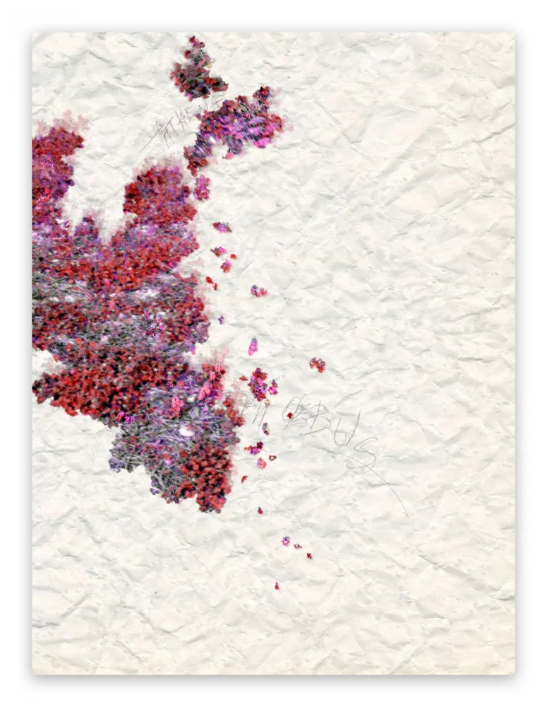 摄影 Pezzot - X: Pleasant Dementia