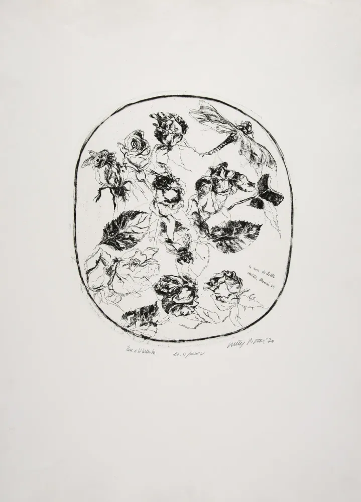 蚀刻版画 Piacesi - Rose e libellula