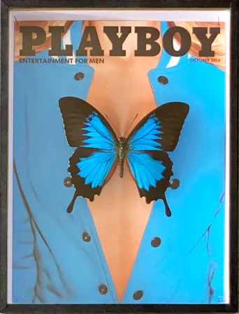 胶版印刷 Pietri - Playboy Blue