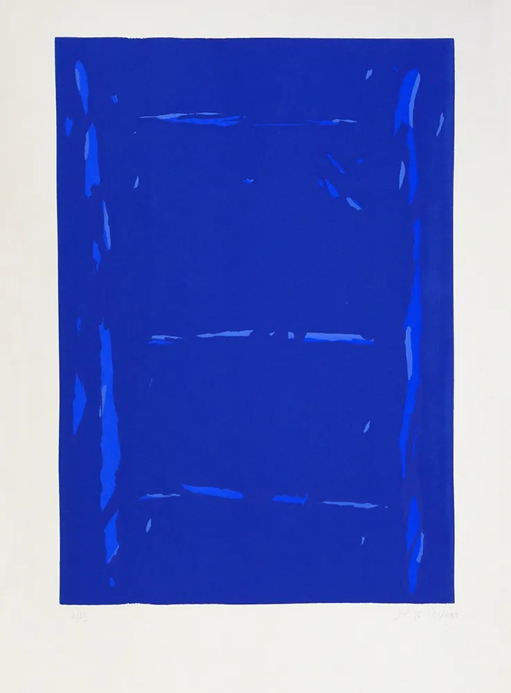 丝网印刷 Pinya - Sin Título