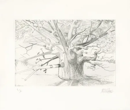 蚀刻版画 Prudhomme - Arbre Evolution 1