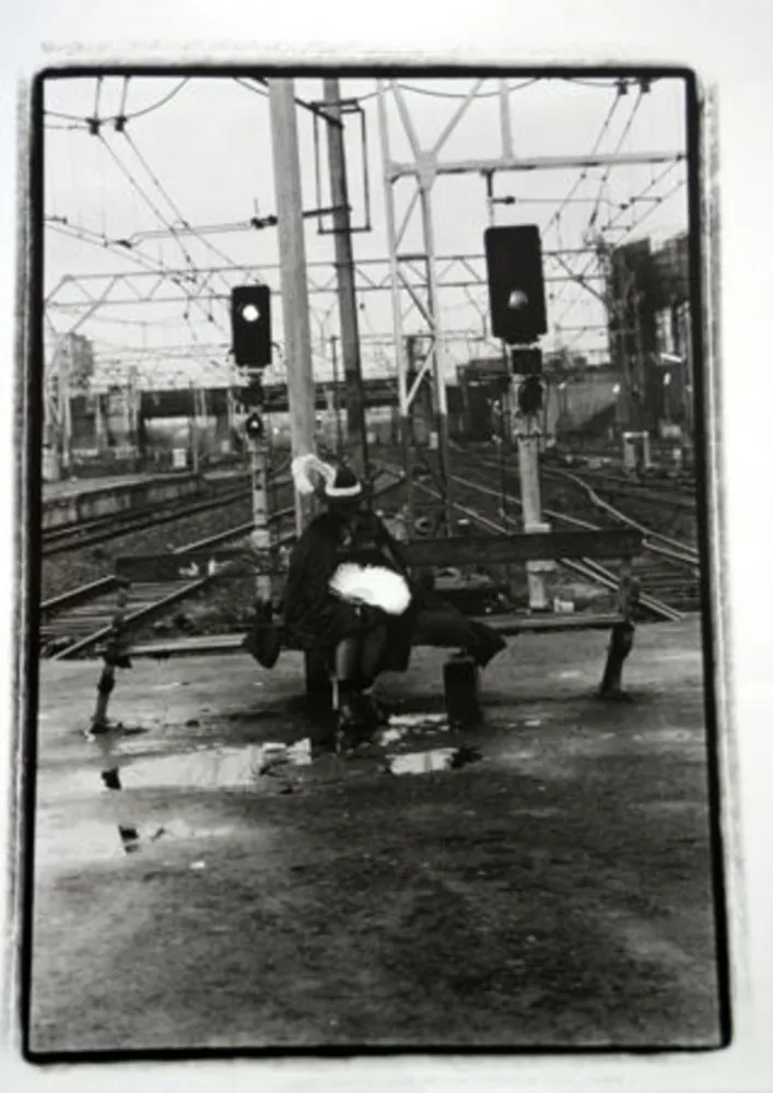 复数作品 Pushpamala - Phantom Lady #22