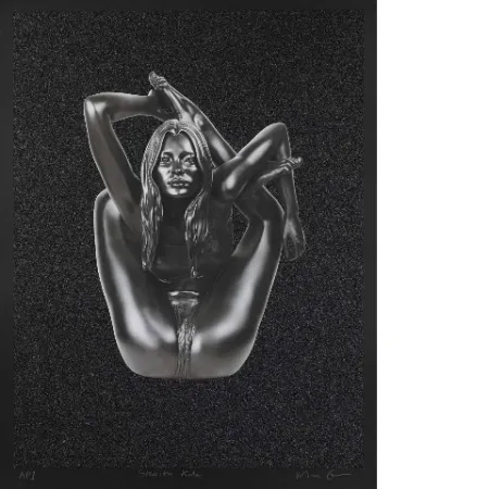 丝网印刷 Quinn - Stealth Kate